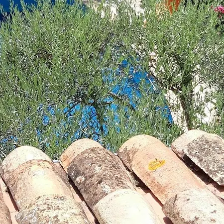 La Maison Des Autres, Piscine Chauffee, D'hotes, Proche D'uzes, Nimes, Pont Du Gard, Ales 招待所