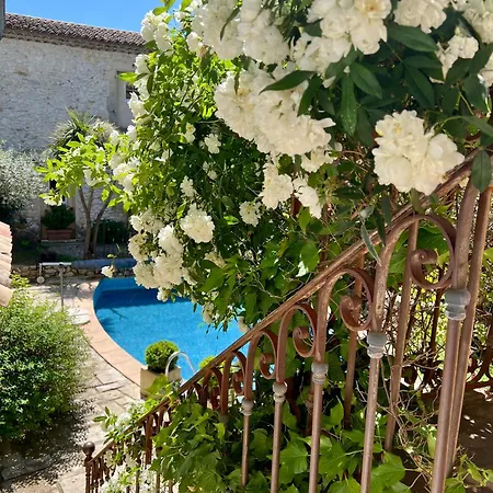 Gasthof La Maison Des Autres, D'hotes, Piscine Chauffee, Pour 2 Avec Privatif - Non Disponible En Juillet Et Aout - Saint-Genies-de-Malgoires